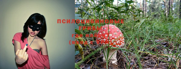 apvp Алексеевка
