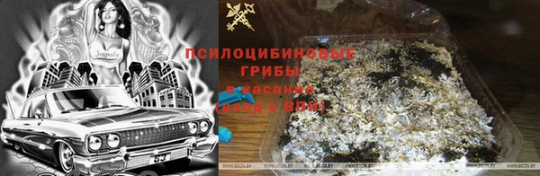 PSILOCYBIN Алексин