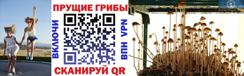 Галлюциногенные грибы MAGIC MUSHROOMS  shop клад  Заполярный  даркнет сайт 